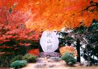 ��R�͍g�t�^������