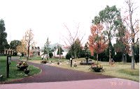 �z�e����