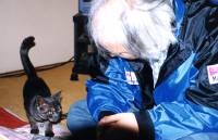 �L vs tamacat����