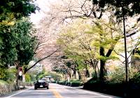 ���̃g���l��