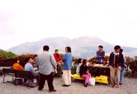 ���M����R�[�i�[�P