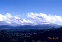 �O�������猴���т��̂��ށB