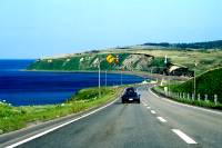 �T���}�΂ցI