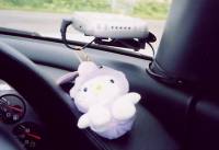 �܂��L�e�B����񂪂��I�H