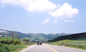 �����V�C�ł��`�B