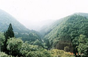 �R�͂����ł��˂��B