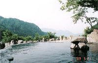 ���̘I�V���C