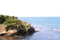 �C�ӂ��U��