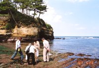 ���̈����������U��B