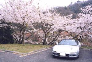 �S���N[2001/04/14]�B�e