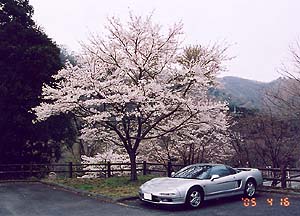 �W���N[2005/04/16]�B�e