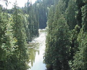 Capilano1