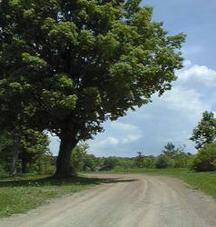 site entrance image