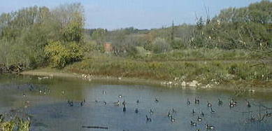 river