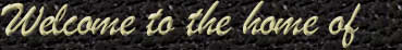 Welcome to the home of