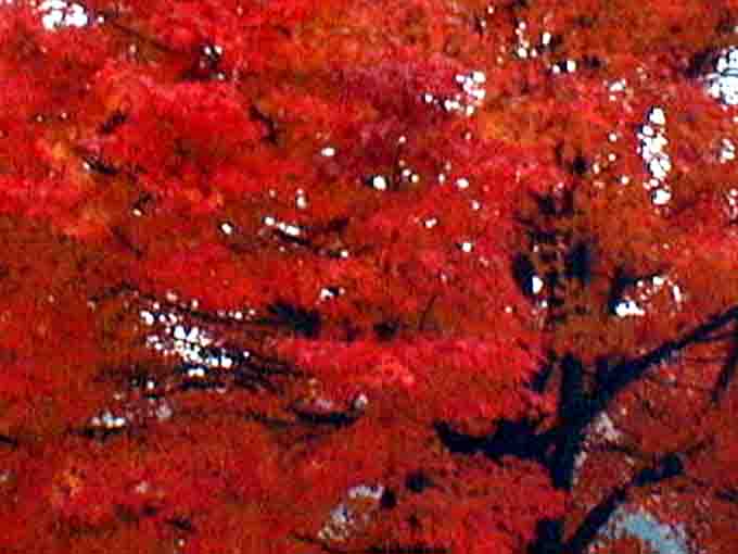 kuuyou01a.jpg