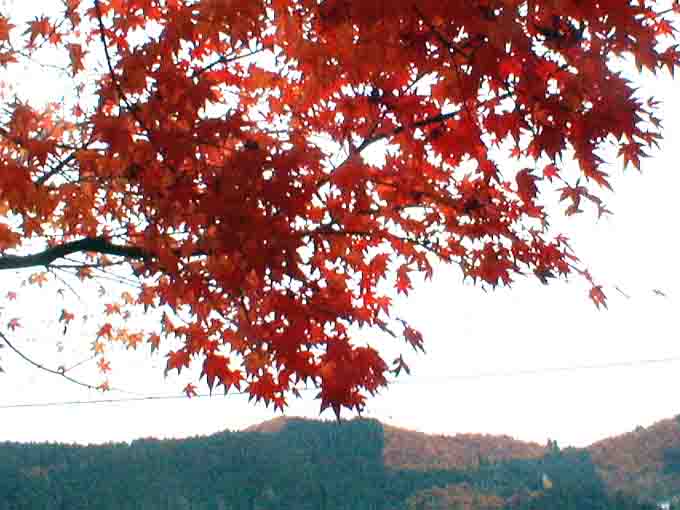 kuuyou02a.jpg