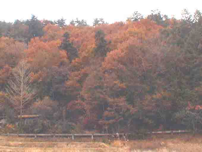 kuuyou07a.jpg