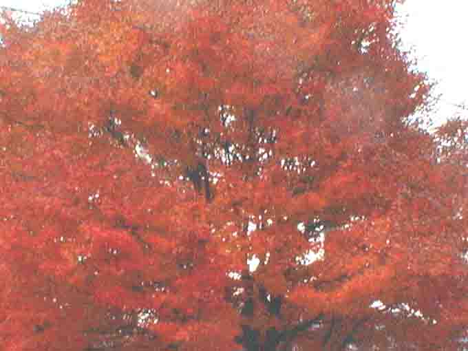 kuuyou08a.jpg