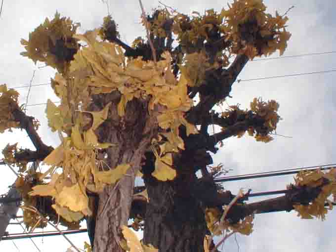 kuuyou14a.jpg