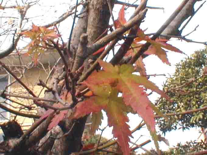 kuuyou15a.jpg