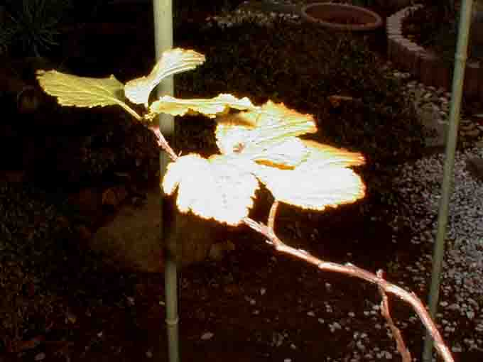 kuuyou17a.jpg