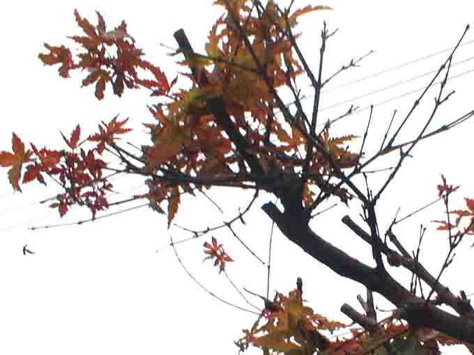 kuuyou18a.jpg