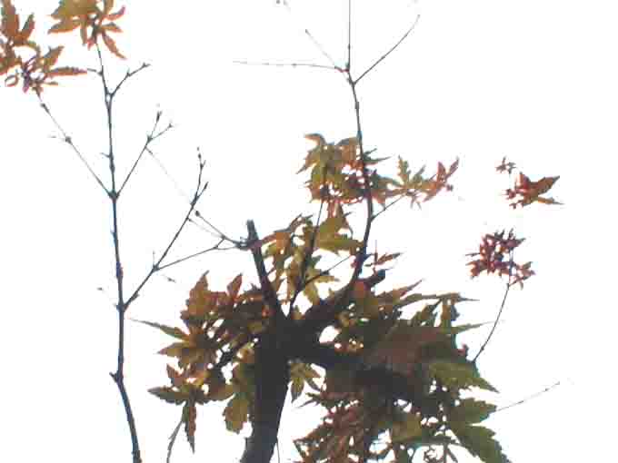 kuuyou19a.jpg