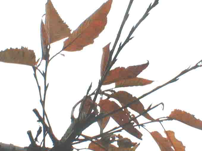 kuuyou20a.jpg