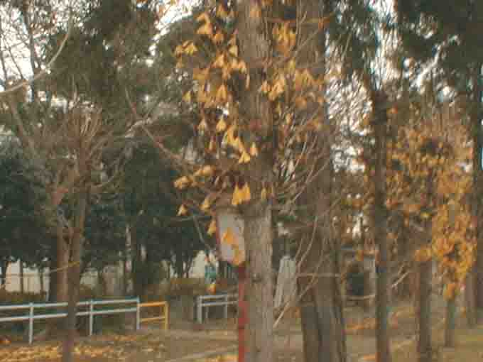kuuyou24a.jpg