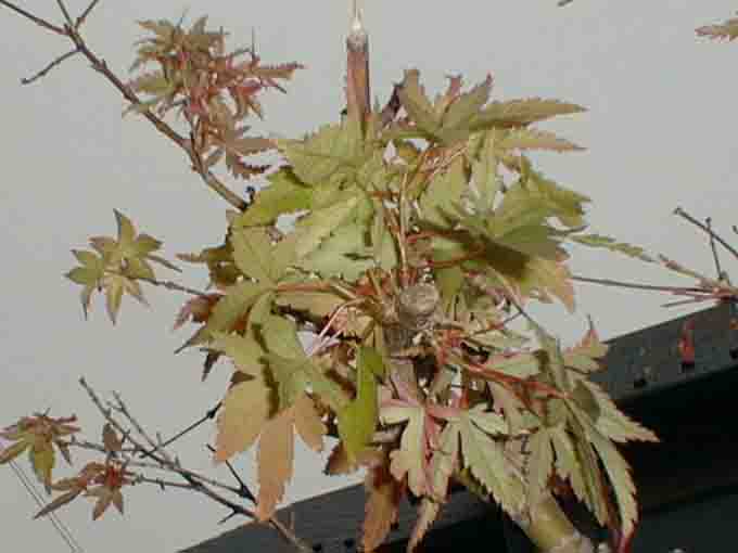 kuuyou28a.jpg