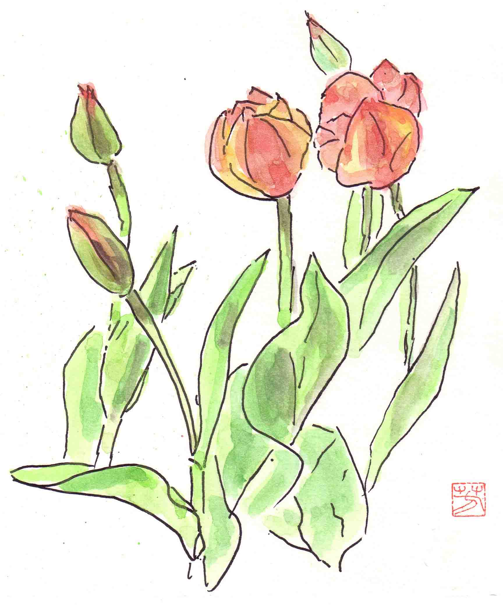 sketch10