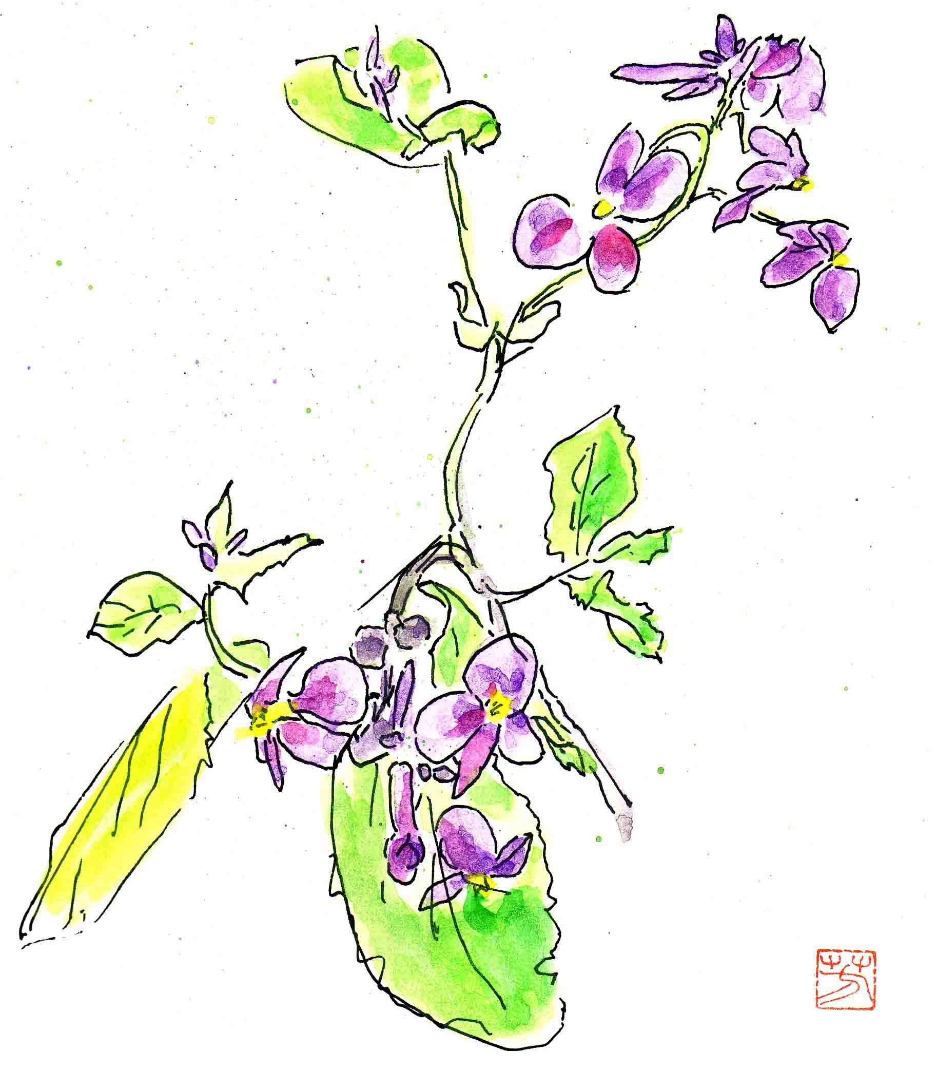 sketch11