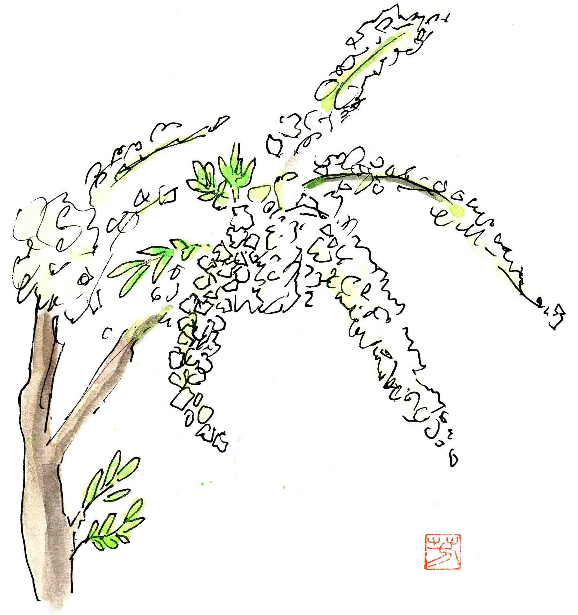 sketch12