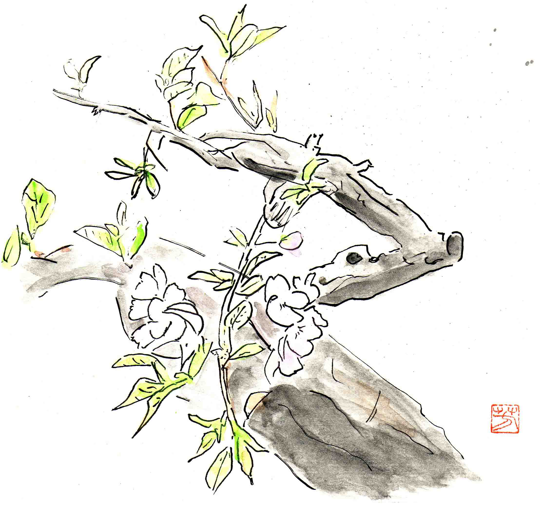 sketch15