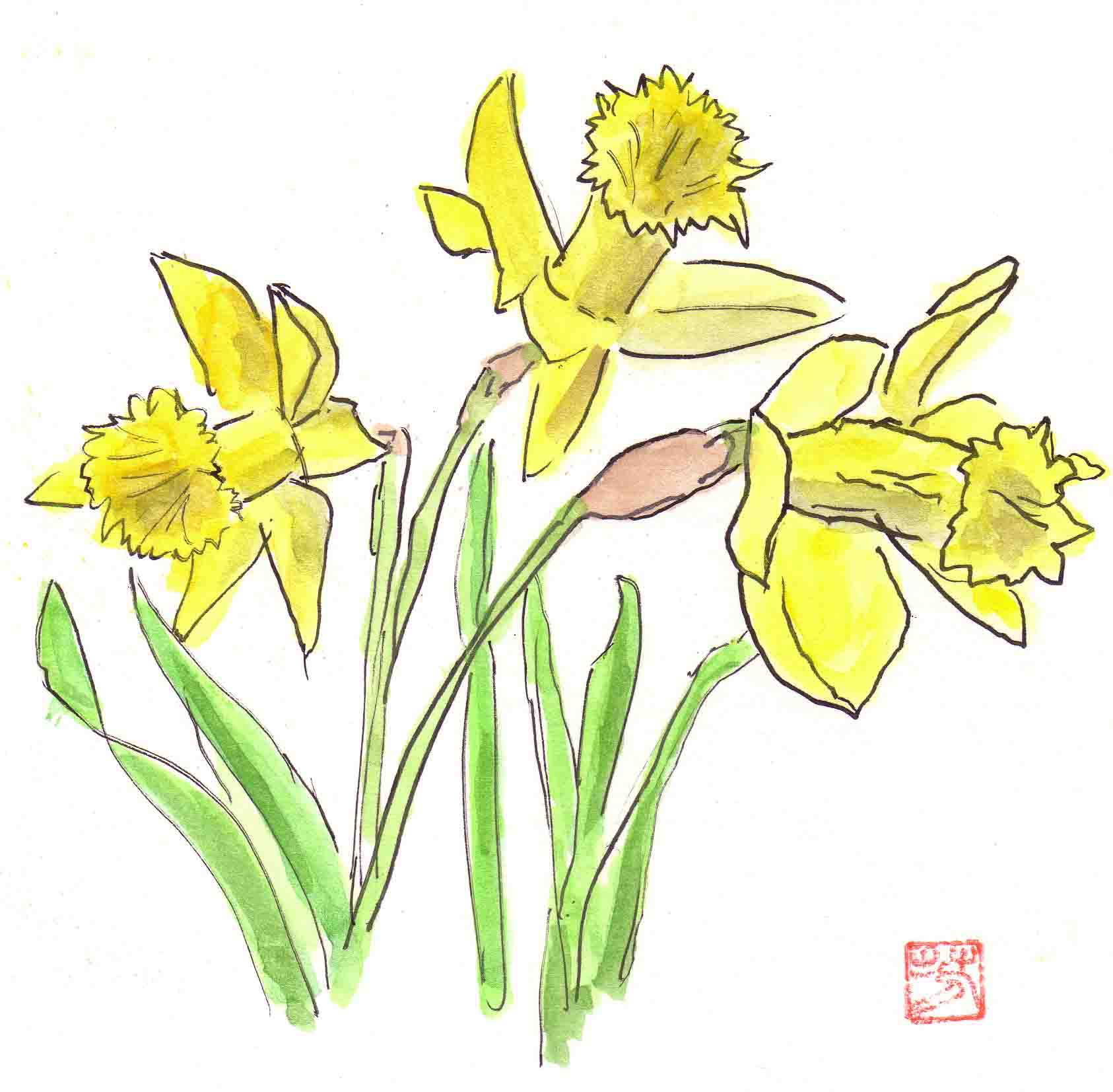 sketch5