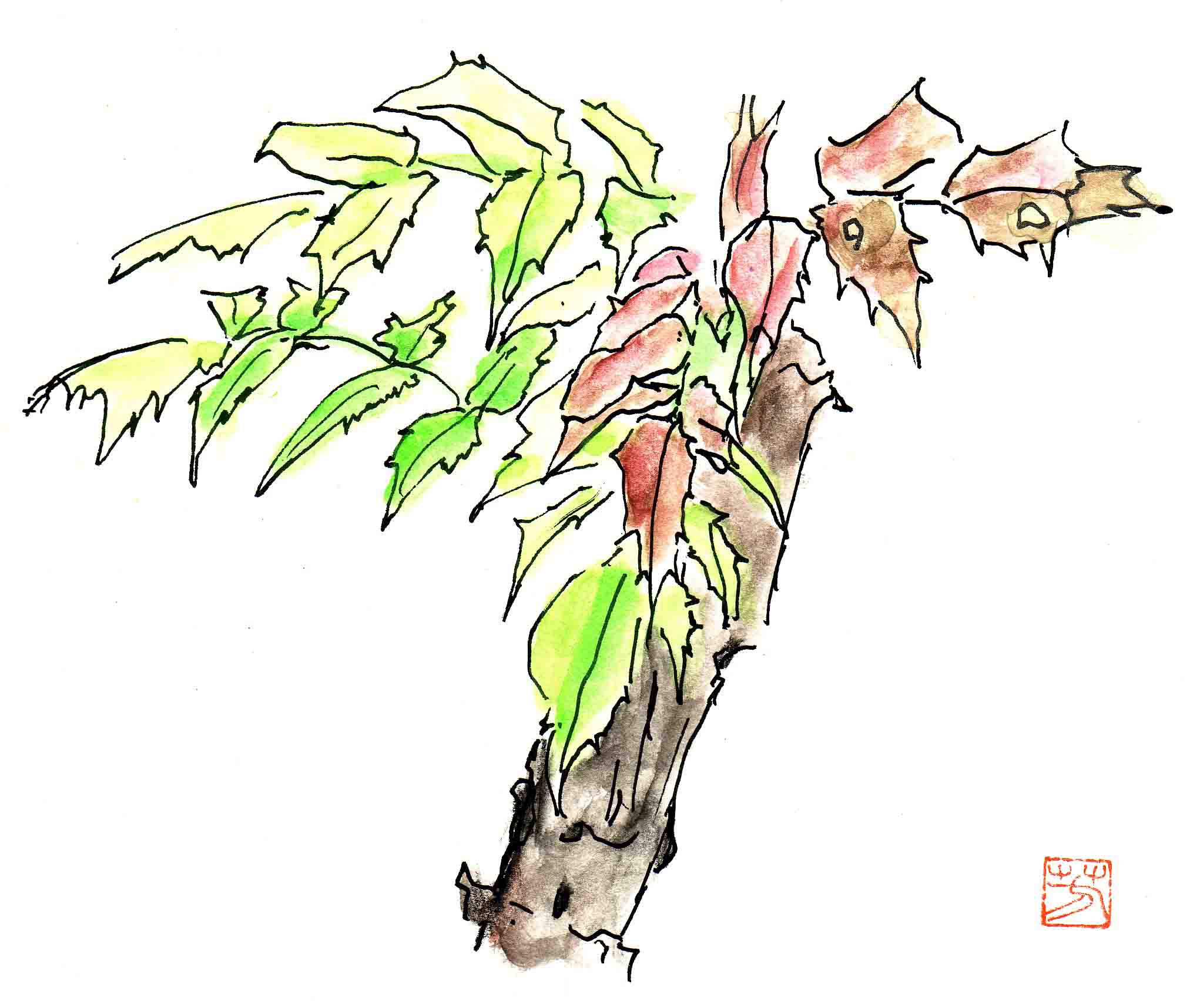 sketch8