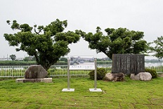総会0705107