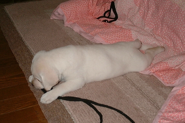 011202012.jpg