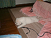 011202012_thumb.png