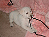 01120201_thumb.png