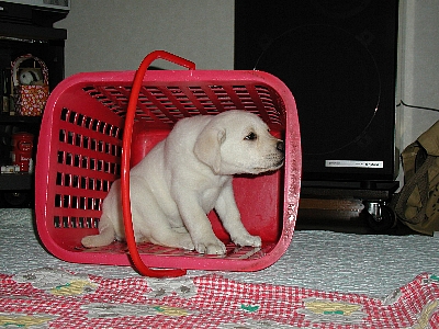 011210004.jpg