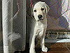 01121005_thumb.png