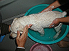 01122513_thumb.png