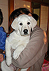 020101003_thumb.png