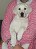 020101023_thumb.png