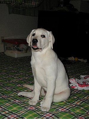 020109007.jpg