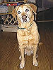 PICT0240a_thumb.png