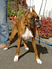 PICT0240a_thumb.png