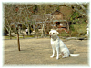 image/H1601_thumb.png